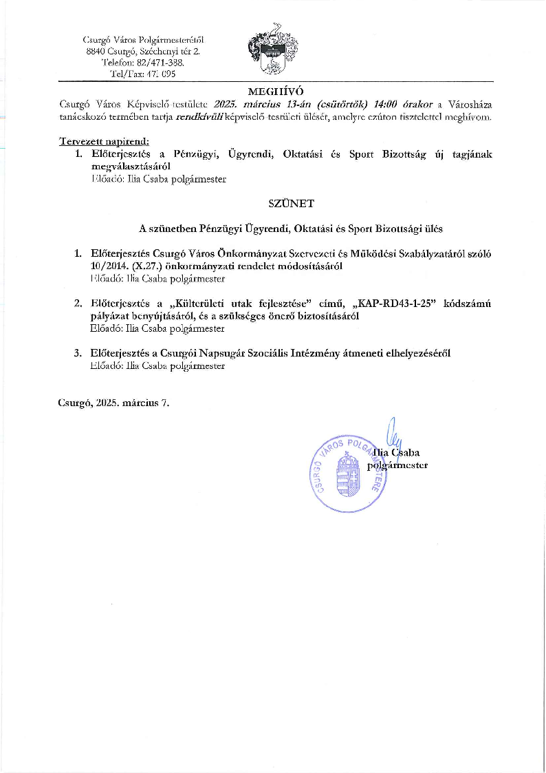 Meghívó 250313