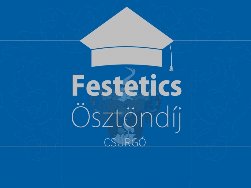 P&aacute;ly&aacute;zati felh&iacute;v&aacute;s - Festetics &Ouml;szt&ouml;nd&iacute;j 2020.