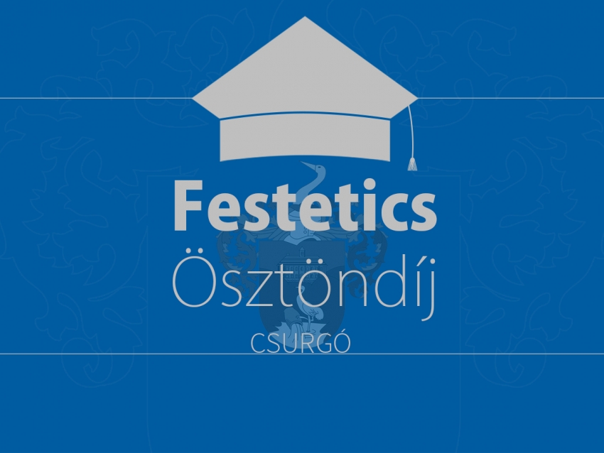 P&aacute;ly&aacute;zati felh&iacute;v&aacute;s - Festetics &Ouml;szt&ouml;nd&iacute;j
