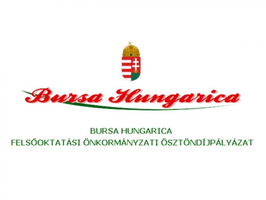 Bursa Hungarica Pályázat (Csurgónagymarton, Porrog, Porrogszentkirály, Porrogszentpály, Somogybükkösd, Somogycsicsó, Szenta)