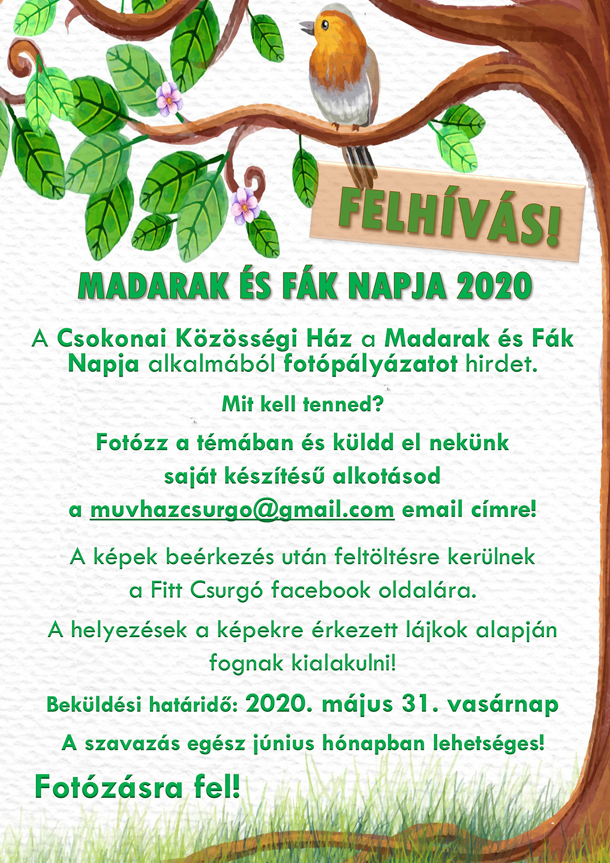 Madarak és Fák Napja2020 