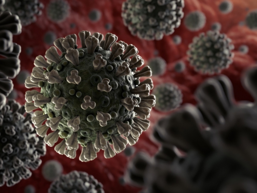 Korábbi átfertőződést mutat ki a koronavírus antitest teszt